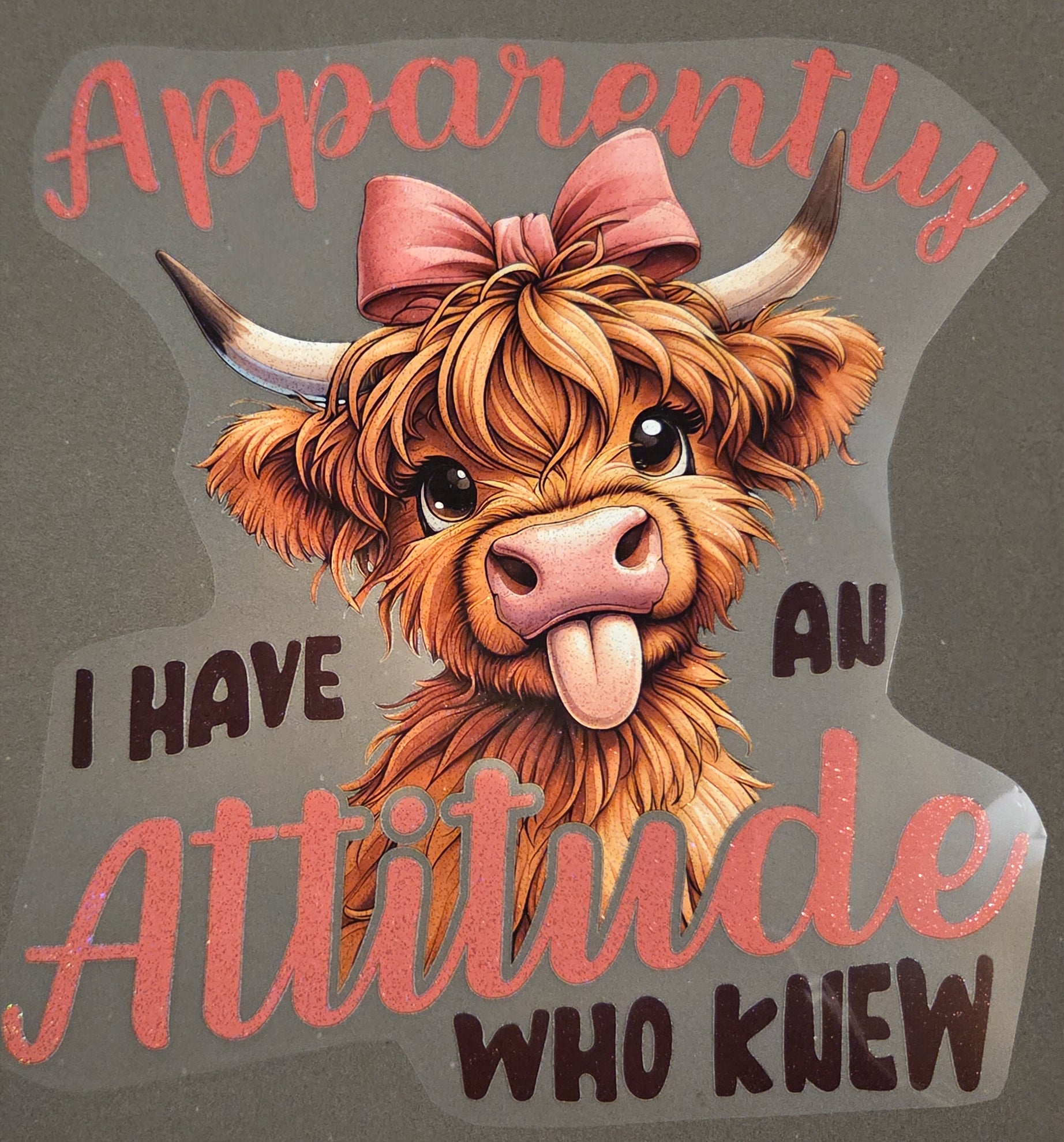 APPARENTLY I HAVE AN ATTITUDE WHO KNEW