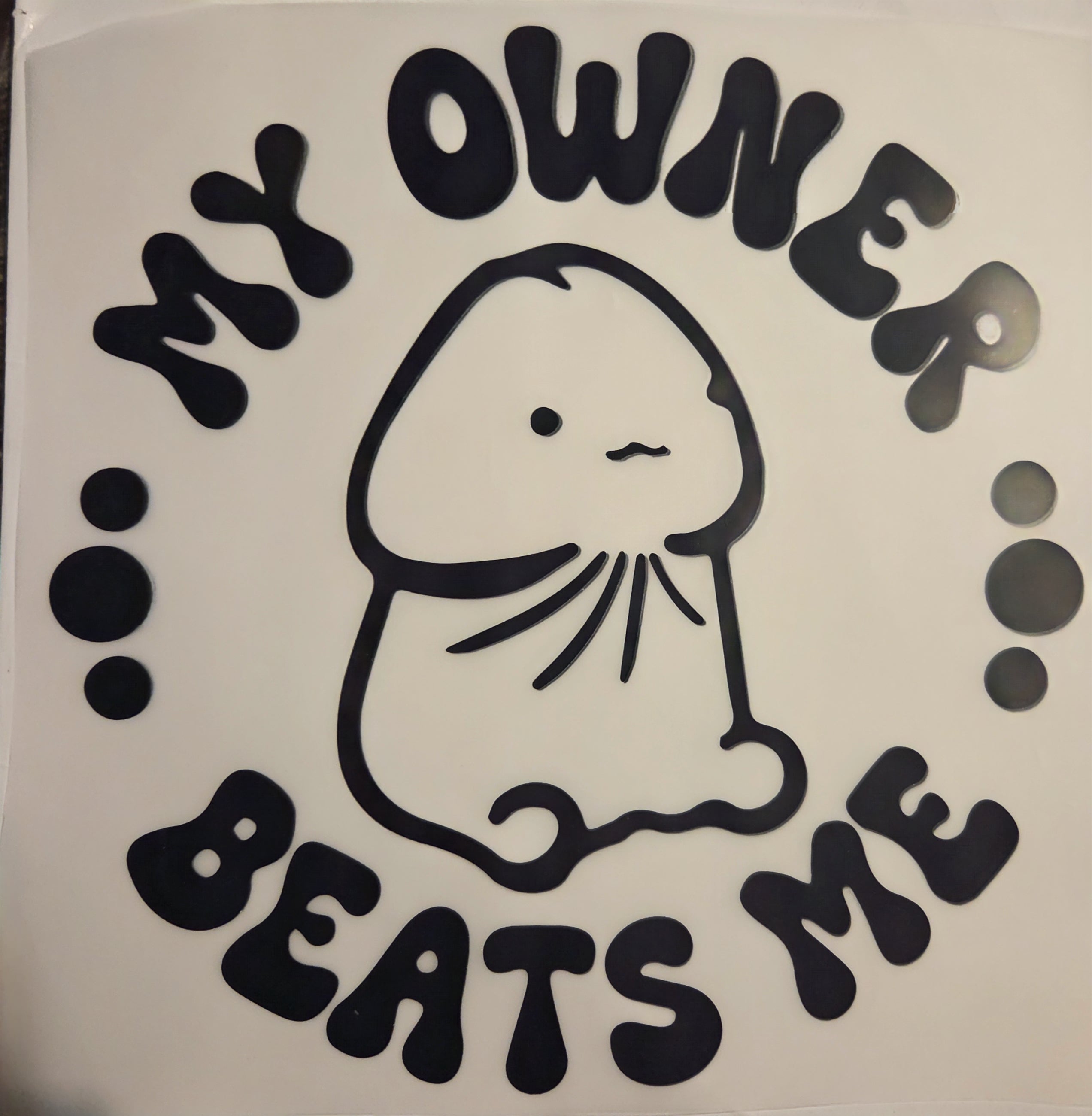 MY OWNER BEATS ME