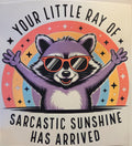 YOUR LITTLE RAY OF SARCASTIC SUNSHINE HAS ARRIVED