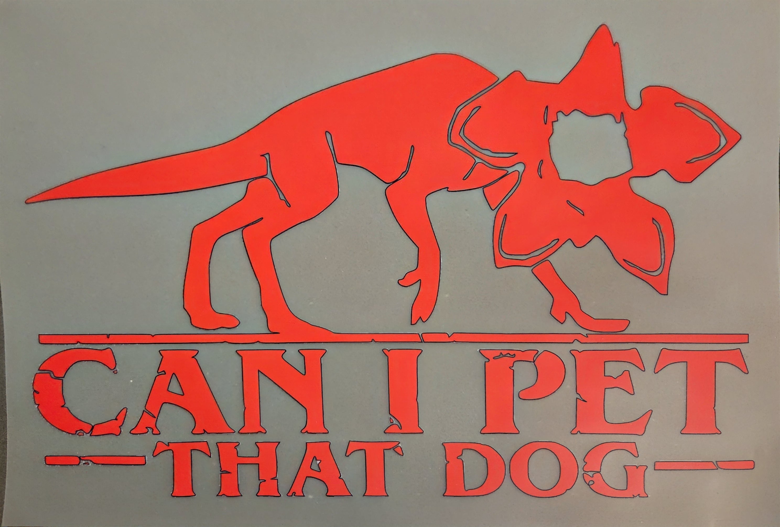CAN I PET THAT DOG