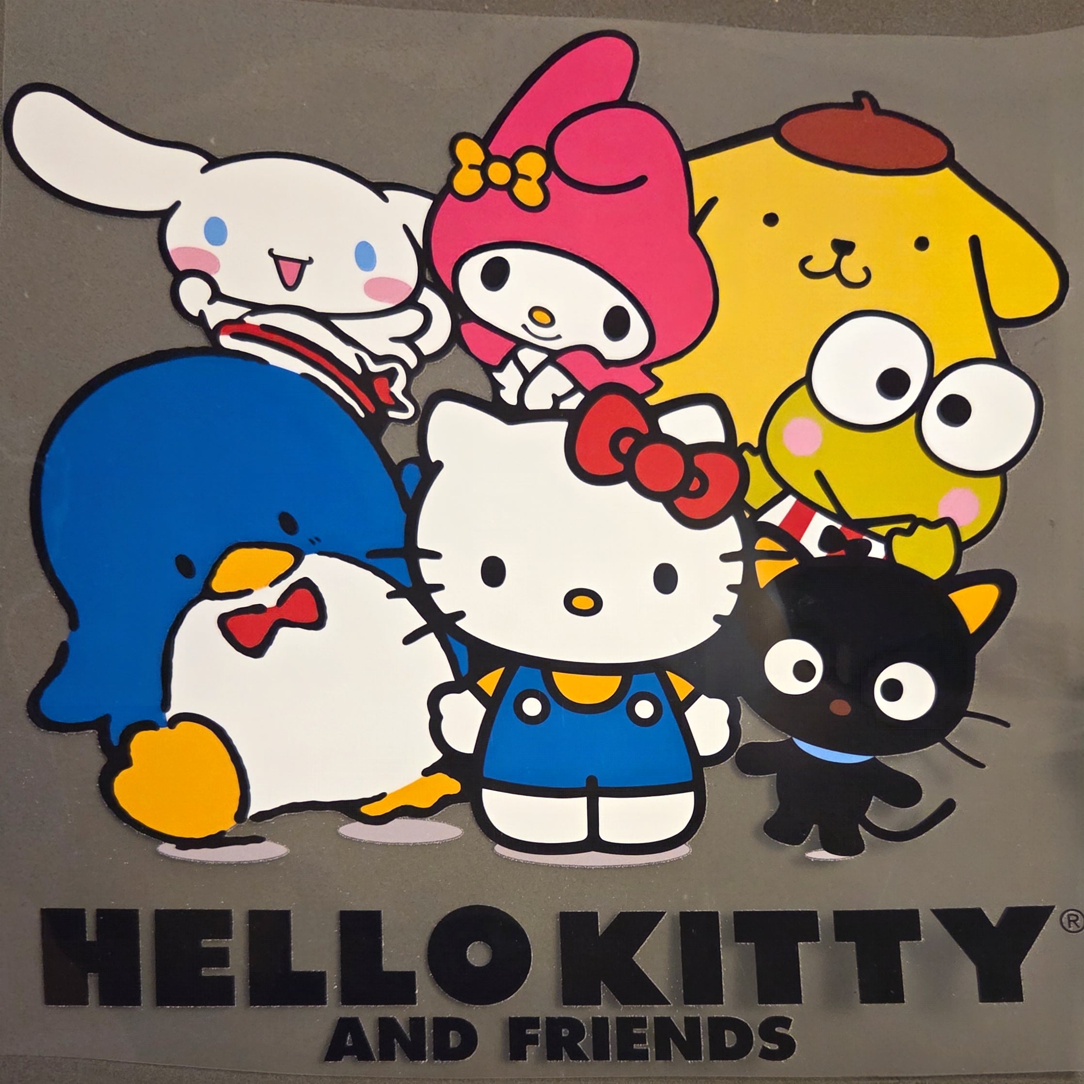 HELLO KITTY AND FRIENDS