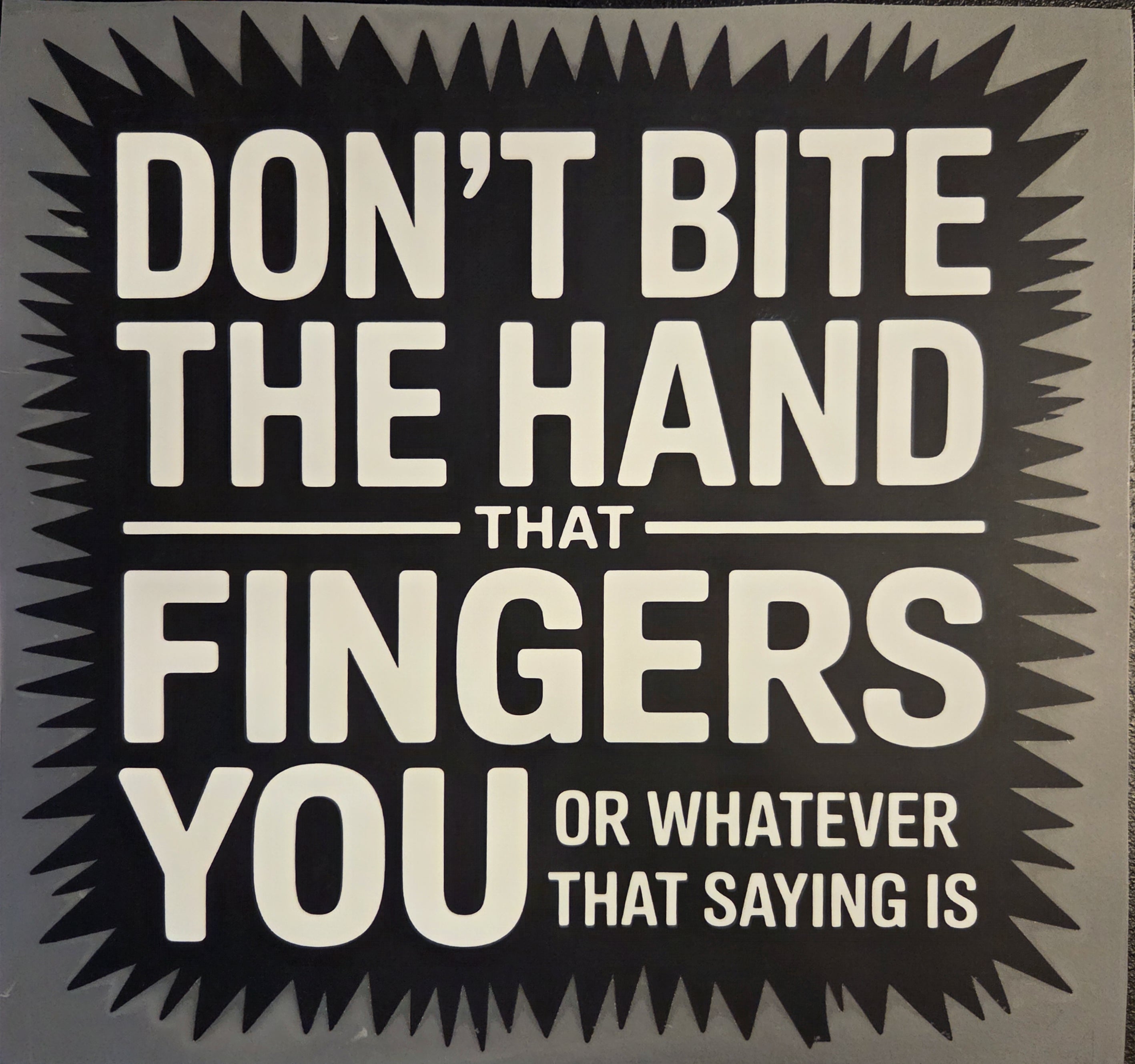 DON'T BITE THE HAND THAT FINGERS YOU OR WHATEVER THAT SAYING IS