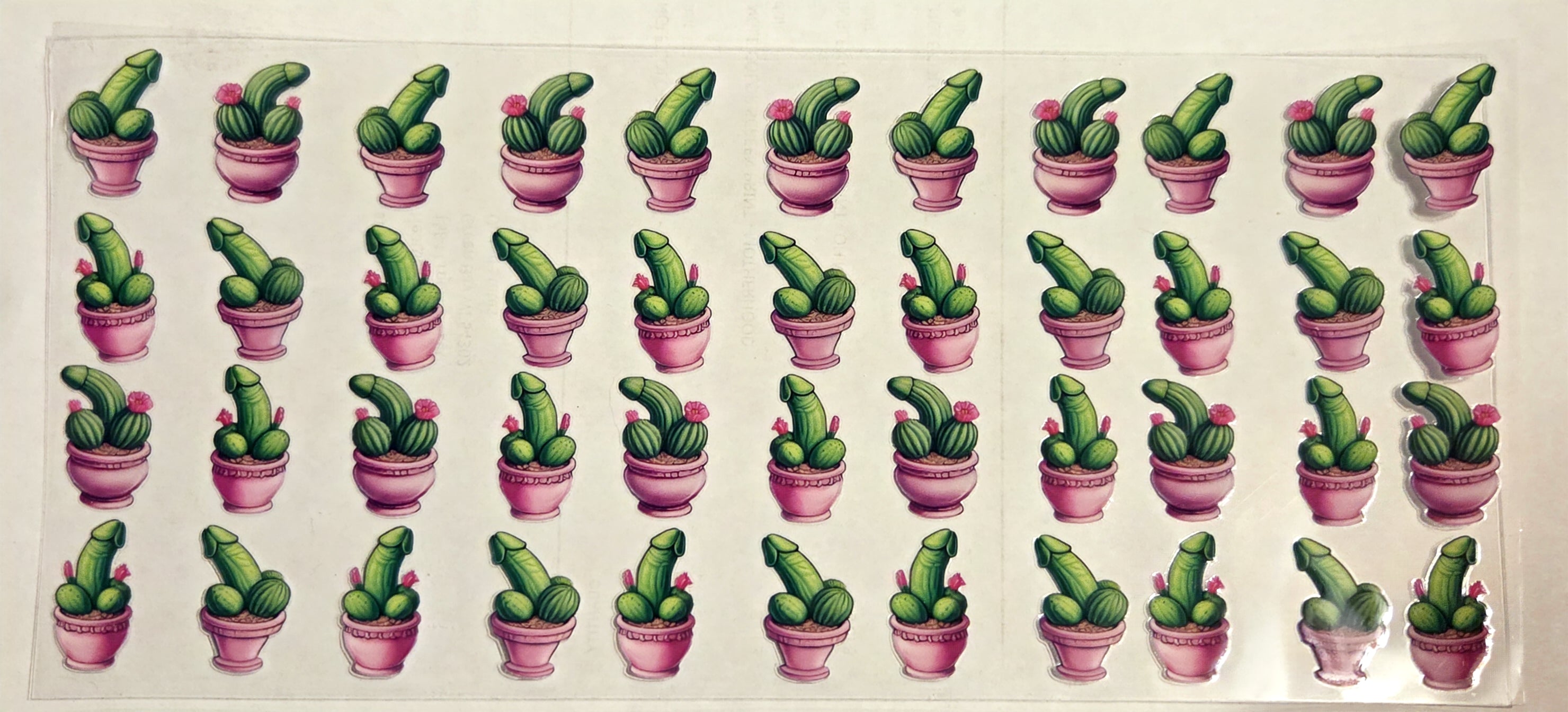 PLANT AFTER DARK