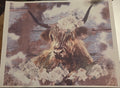 HIGHLAND COW