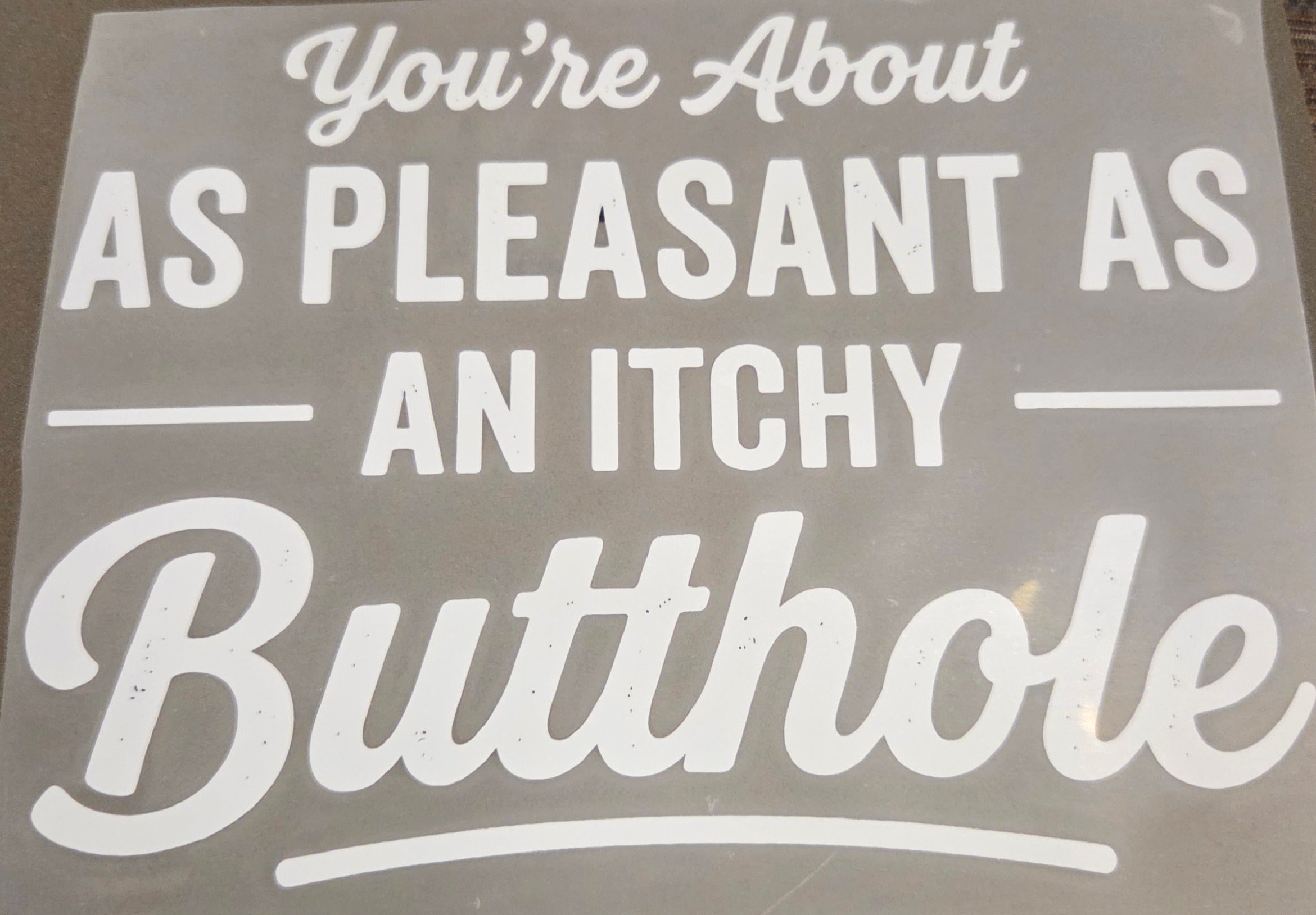 YOU'RE ABOUT AS PLEASANT AS AN ITCHY BUTTHOLE