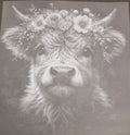 HIGHLAND COW