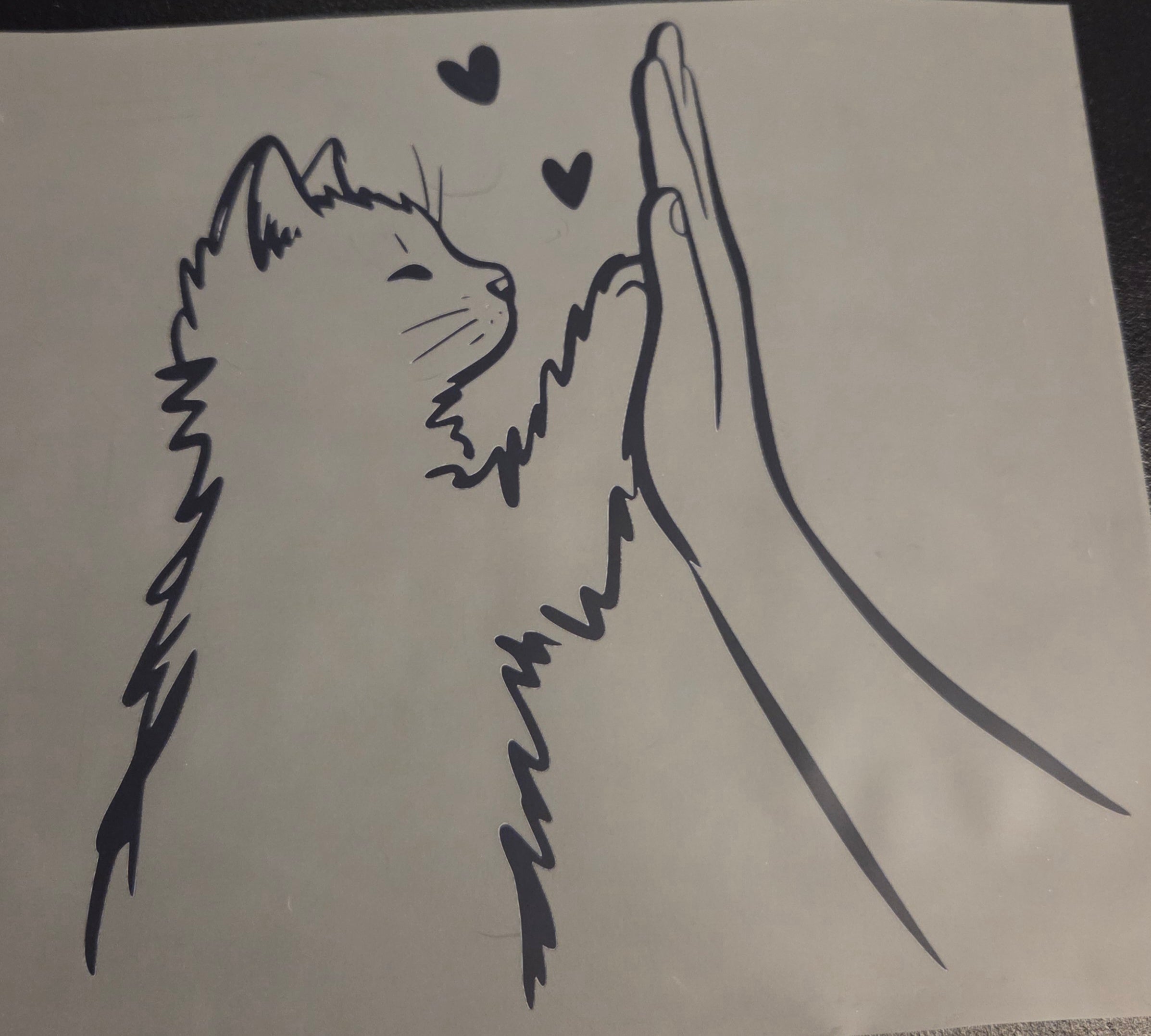 CAT WITH HUMAN HAND