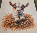 BABY GOAT