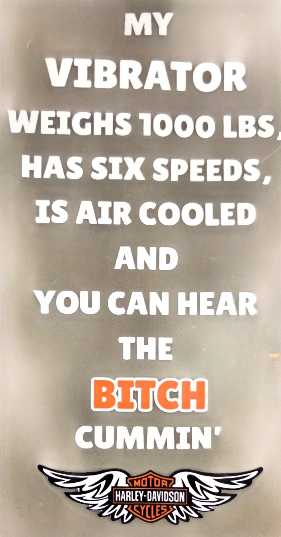 BY VIBRATOR WEIGHS 1000 LBS, HAS SIX SPEEDS, IS AIR COOLED AND YOU CAN HEAR THE BITCH CUNNIN'
