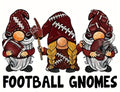 FOOTBALL GNOMES