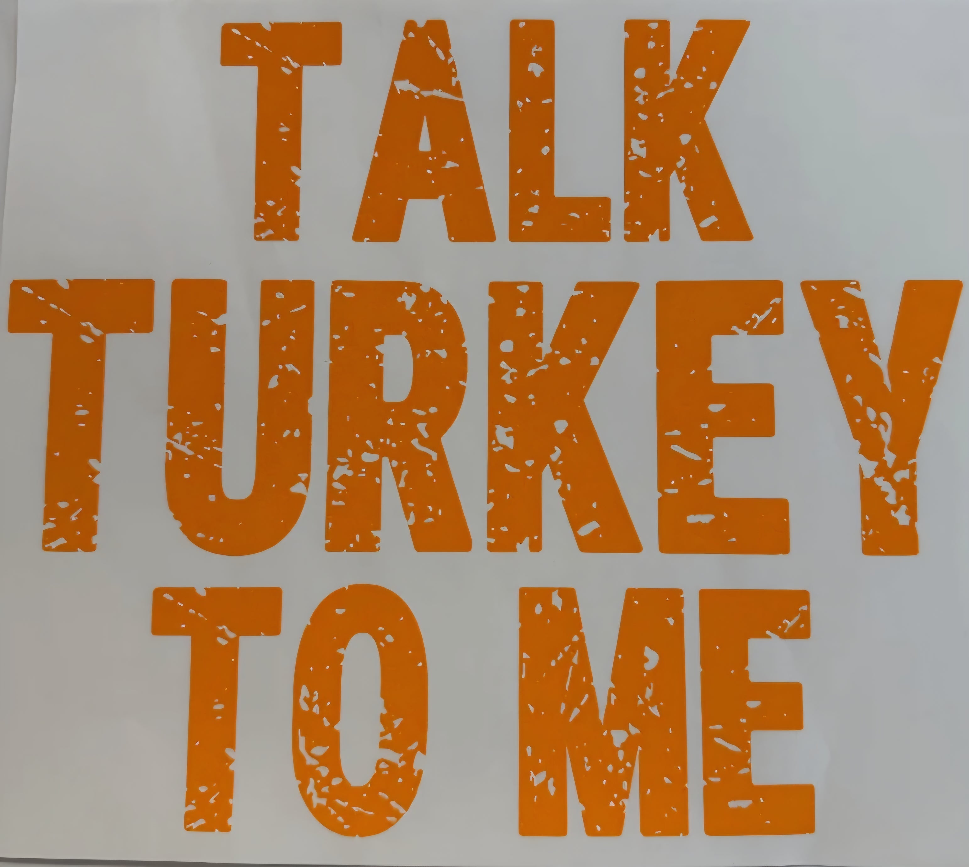 TALK TURKEY TO ME