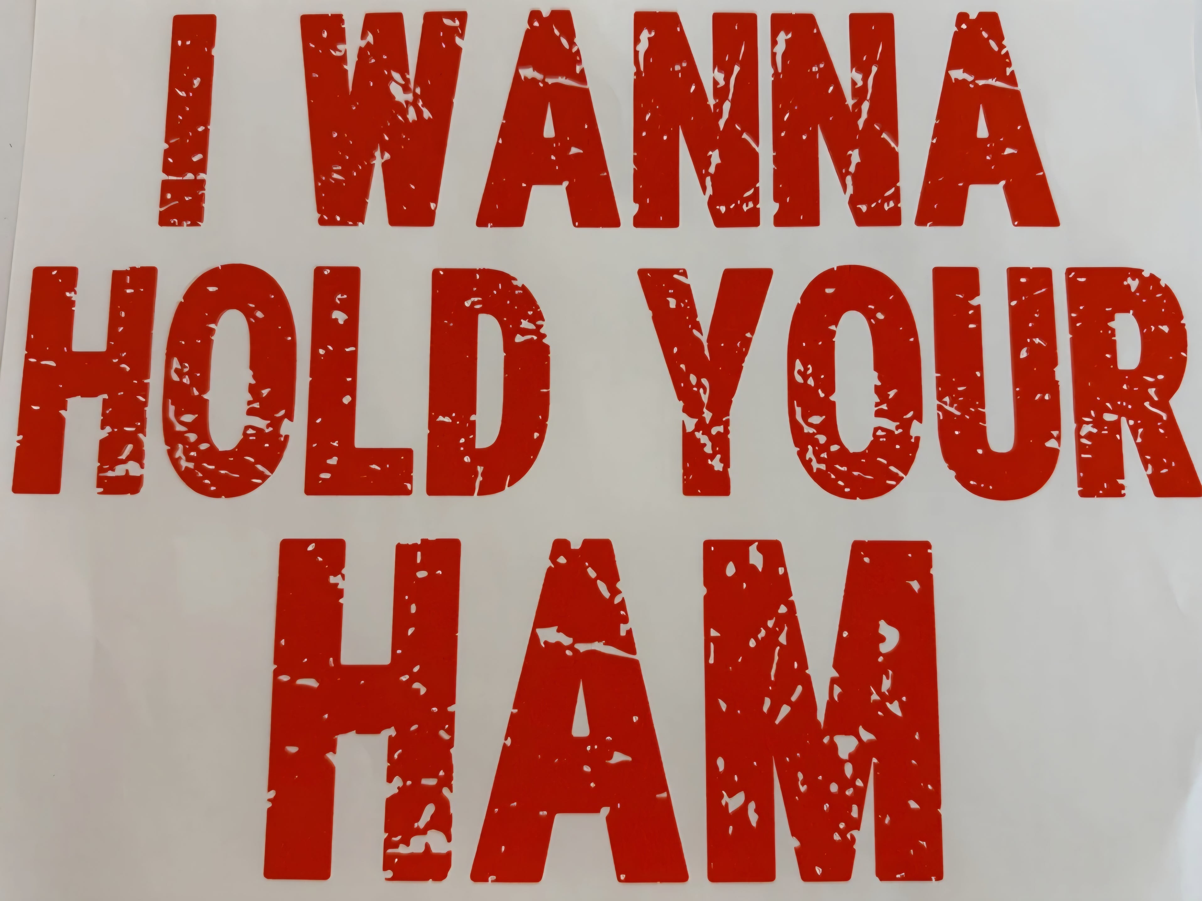 I WANNA HOLD YOUR HAM