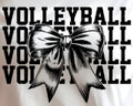 VOLLEYBALL