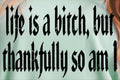 LIFE IS A BITCH, BUT THANKFULLY SO AM I