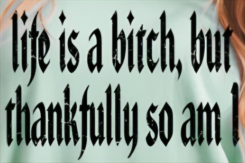 LIFE IS A BITCH, BUT THANKFULLY SO AM I