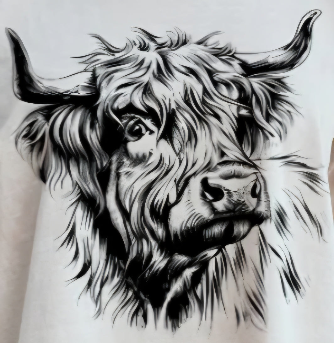 SHAGGY COW