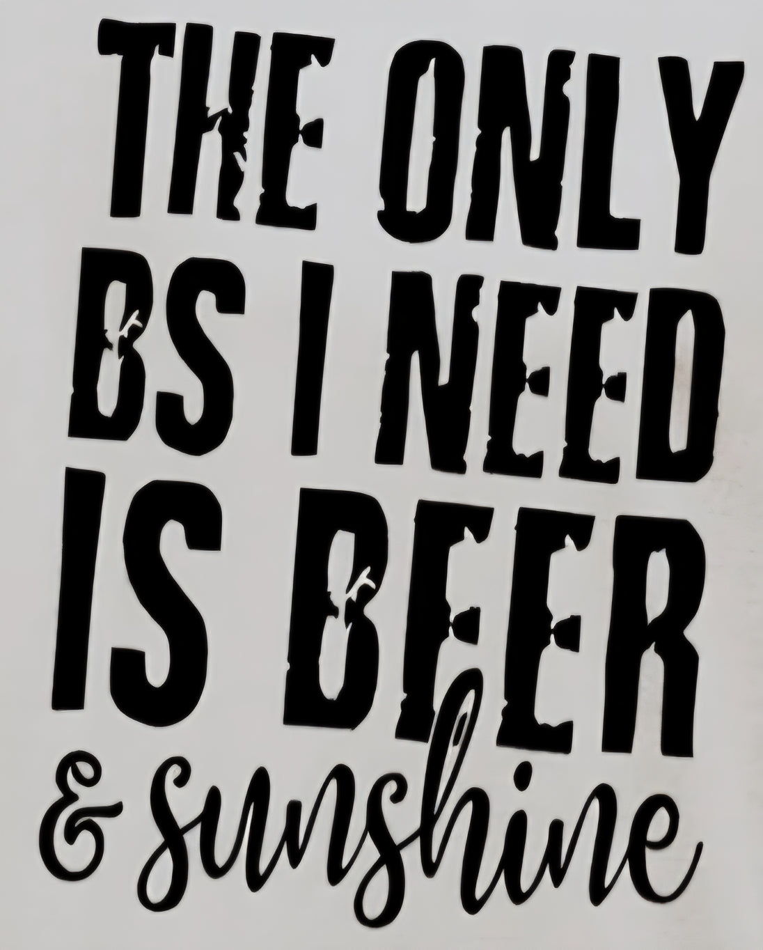 THE ONLY BS I NEED IS BEER & SUNSHINE