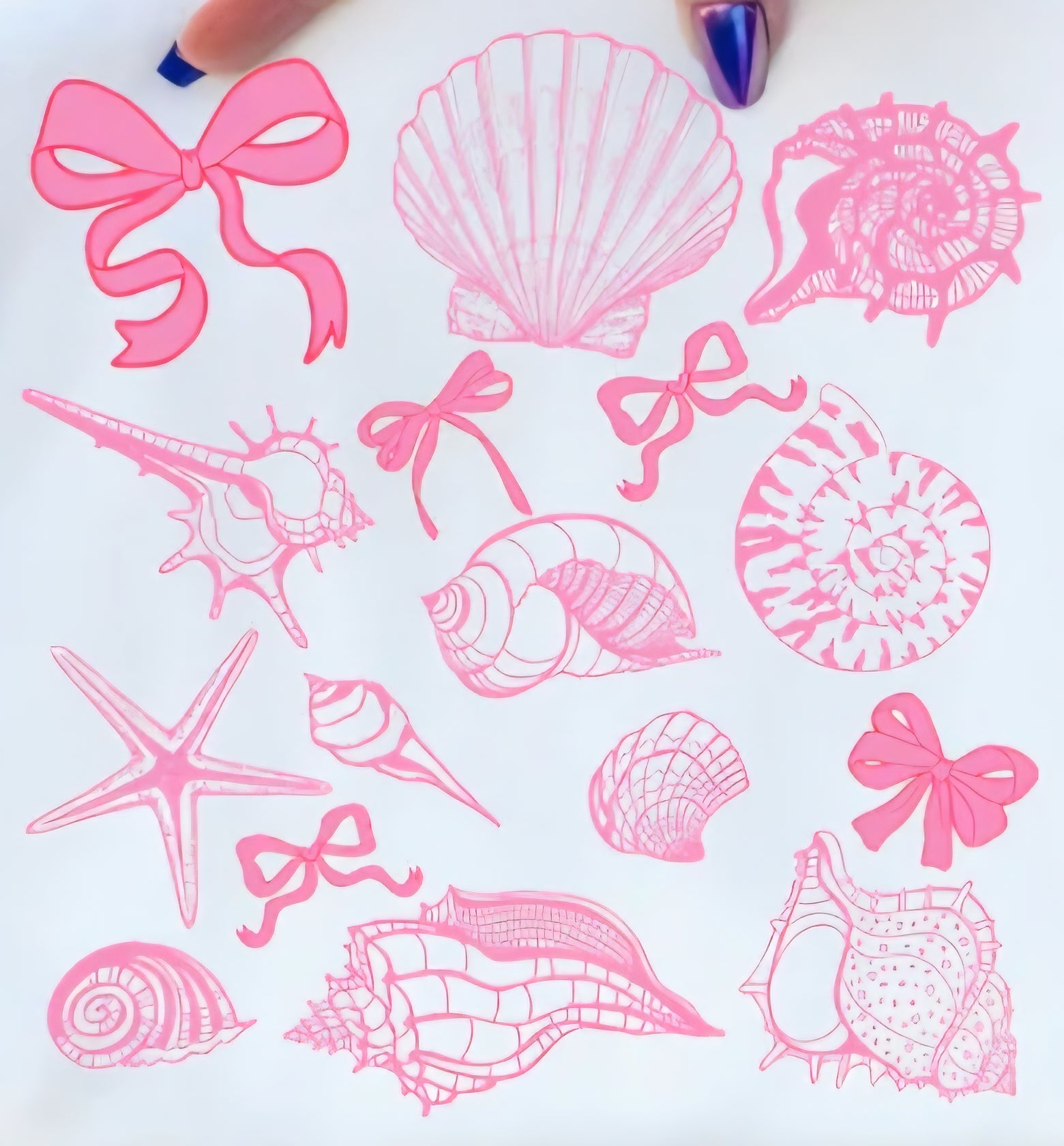 SHELL AND BOWS